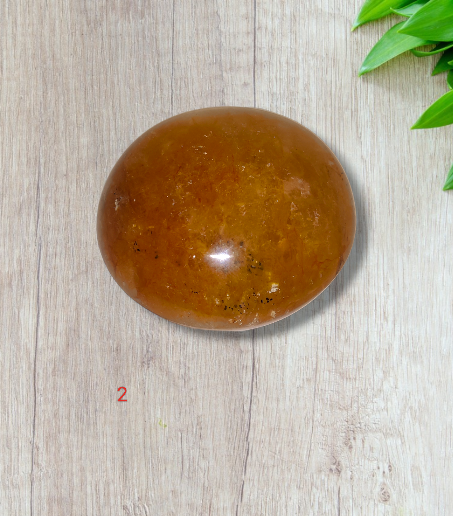 Golden Healer Palm stones
