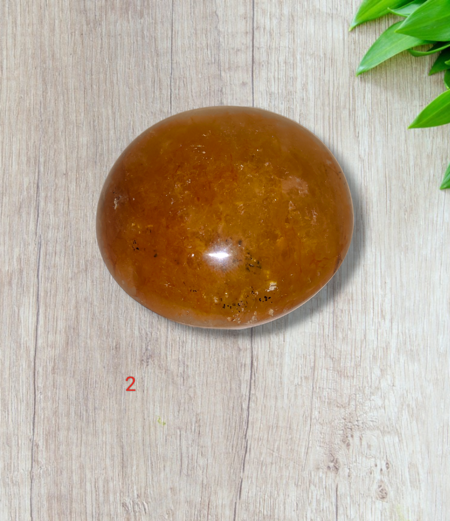 Golden Healer Palm stones